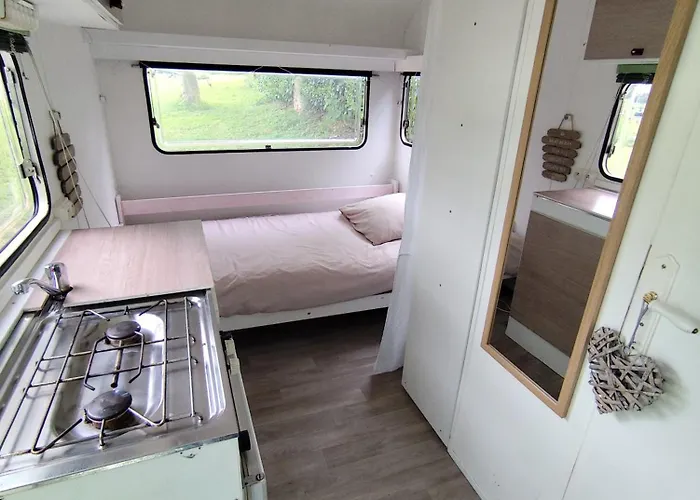 Friendly And Κάμπινγκ *